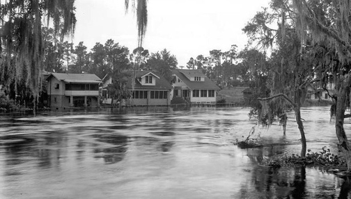 Hillsborough River flooding at Sulphur Springs