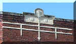 tampabayelemschcloseup.jpg (40397 bytes)