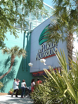 aquarium website night channelside